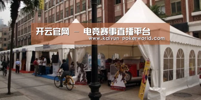 案例标题九