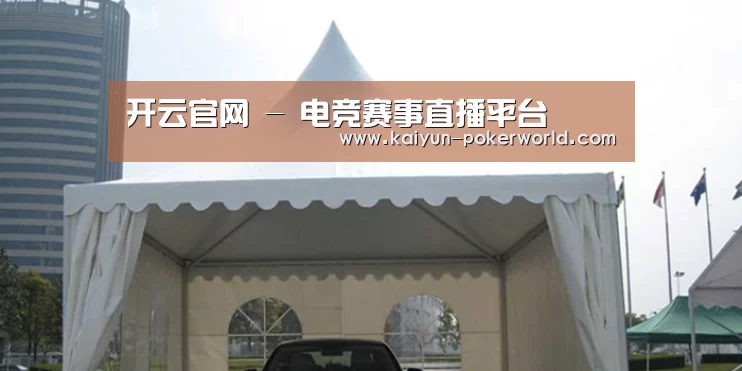 案例标题八