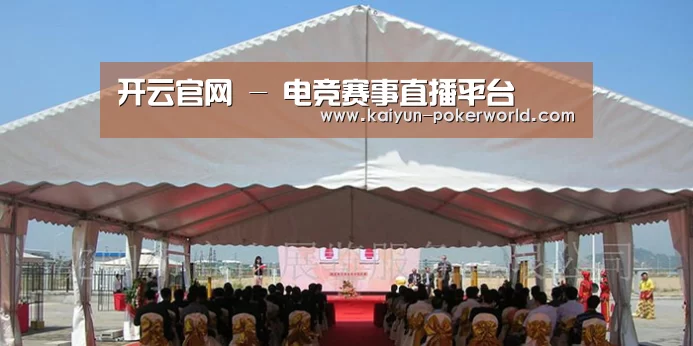 案例标题三