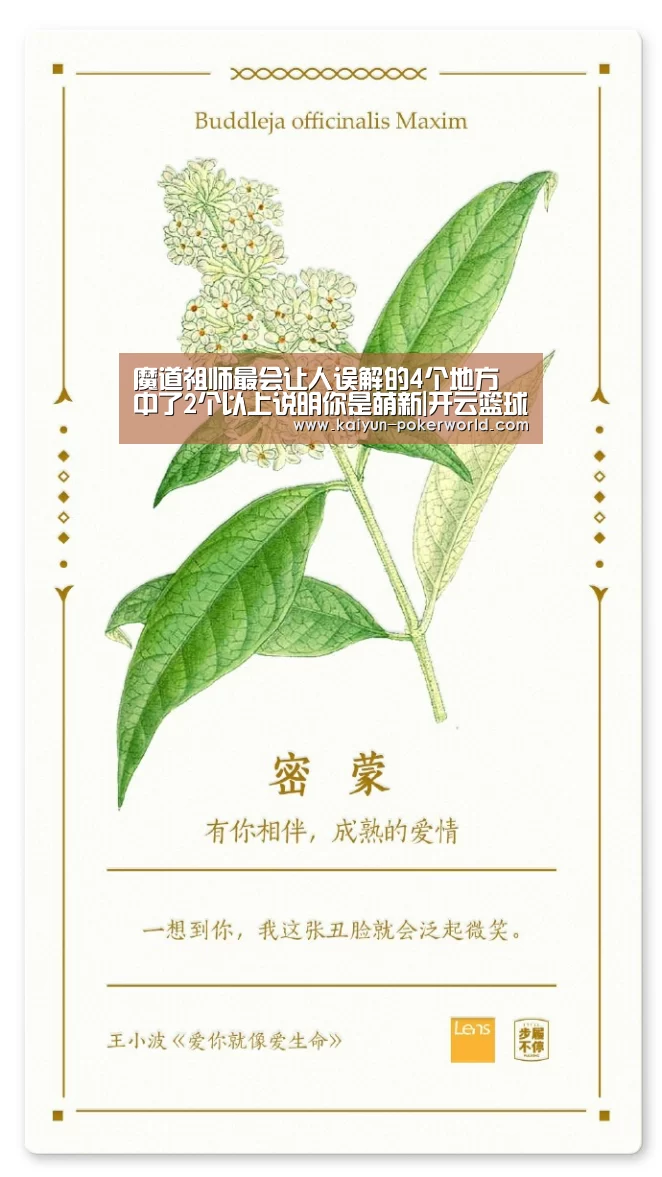 魔道祖师最会让人误解的4个地方 中了2个以上说明你是萌新|开云篮球(图2) 开云体育