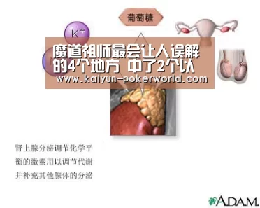 魔道祖师最会让人误解的4个地方 中了2个以上说明你是萌新|开云篮球(图3) 开云足球