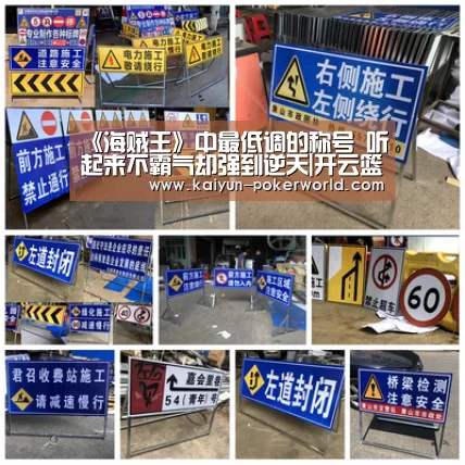 《海贼王》中最低调的称号 听起来不霸气却强到逆天|开云篮球(图1) 开云体育